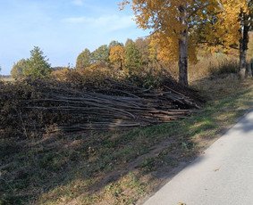 Šakų tvarkymas ir išvežimas